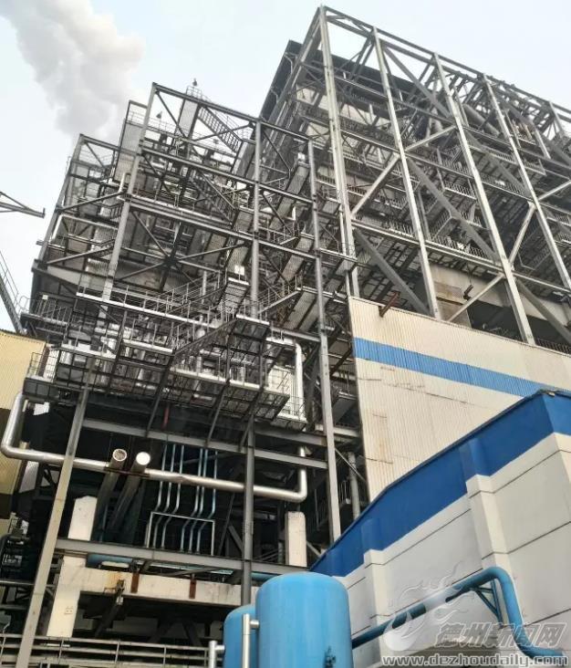 不停工,忙订单,新一年我们加油干 | 记者新春走