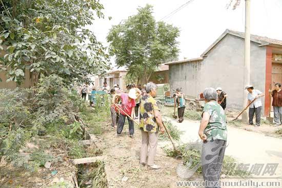6月13日，于官屯社区村民在清理杂草。 田鹏 摄