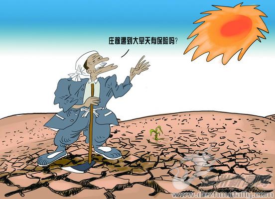 亩产千斤玉米受损5亩地只赔200元 农业保险真