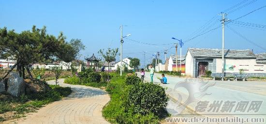 禹城市辛店镇一村一特色满眼是风景