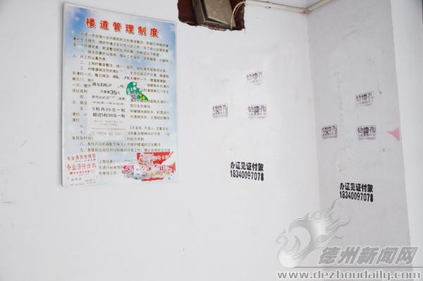 居民楼内墙壁上贴满小广告