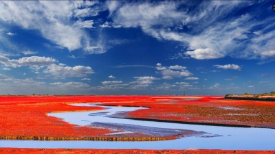 经纬｜保护黄河，下好协同这盘大棋