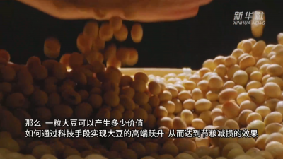 新华全媒+｜山东：一粒大豆的高端跃升