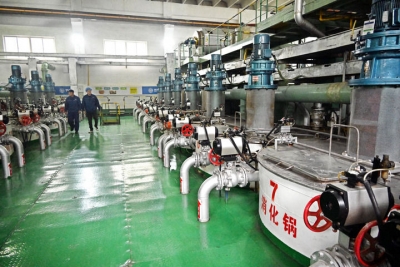 中国经济样本观察·企业样本篇｜一棵海藻的产业进阶之路