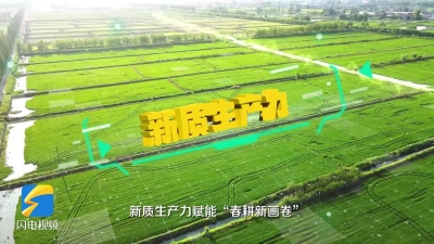 闪电评论｜因地制宜发展农业新质生产力，齐鲁农业“挑大梁”“换新颜”
