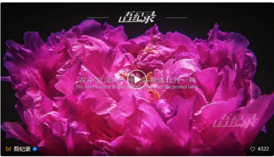 纪录片《国色》今晚在山东卫视黄金时段首播 