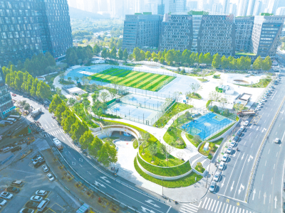 山东这4个地方，因何入选全国城市更新典型案例？请看深度观察