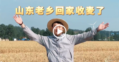 粮满仓·好丰光丨山东麦收已过半！“节粮减损”确保颗粒归仓