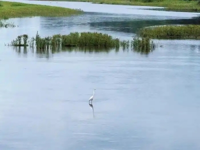 一河清水润齐鲁——山东系统治理推进美丽河湖建设观察
