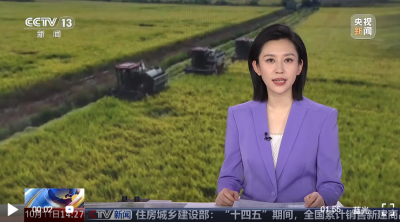 山东 克服阴雨天气 全力推进秋粮抢收工作