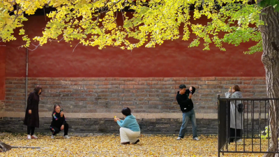 山东济宁：“孔孟之乡”谱写文化“两创”新篇