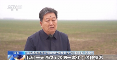 视频丨晚播麦吃上“营养餐” 山东精细化田管助小麦“强筋健骨”