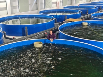 大众日报头版头条聚焦郓城：县域国企改出“新活法”