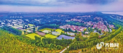 闪电评论丨培育乡村“合伙人” 共绘振兴新图景