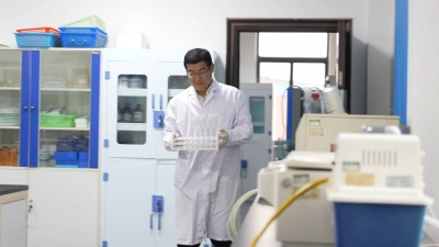 追光的你｜躬身盐碱地 耕耘丰收梦！崔义河37年深耕黄三角育粮兴农记