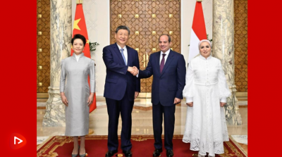 习近平同埃及总统塞西会谈